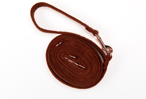 BROWNIE smycz dla psa