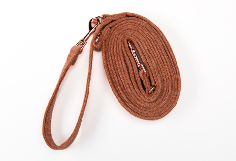 BRZOSKWIONIOWA smycz dla psa