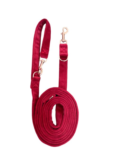 CZERWONA smycz dla psa