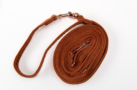 MARCHEWKOWA smycz dla psa