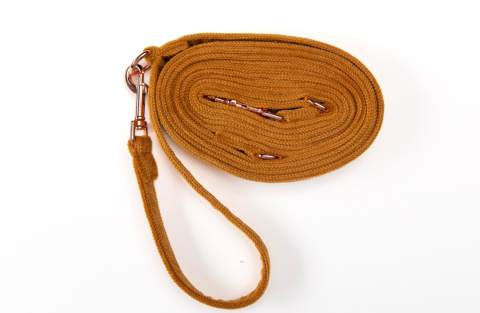 ZŁOTA smycz dla psa