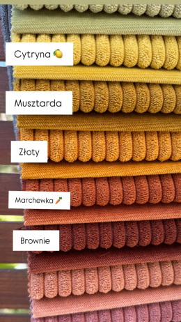 Półzaciskowa obroża BROWNIE