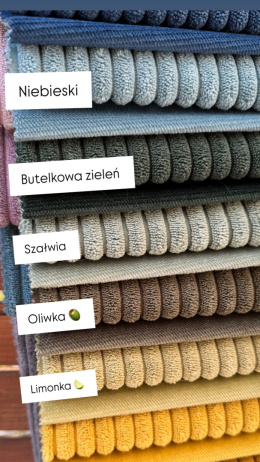 Półzaciskowa obroża NIEBIESKA
