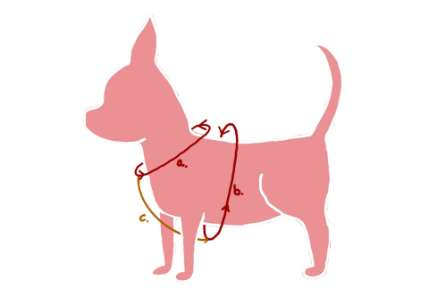 Szelki bezuciskowe do własnego komponowania